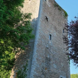 Photo en contreplongée d'une tour carrée en pierre dont le haut est encore éclairé par le soleil entre 2 arbres. Devant, un escalier avec rambarde sur laquelle est posée une affiche pour la nuit européenne des musées et un panneau d'indication du musée de la tour, indiqué ouvert.
