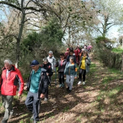 Des randonneurs descendent un chemin bordé de haies et d'arbres