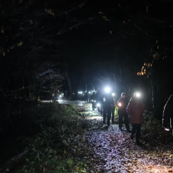Des marcheurs avec lampes frontales sur un chemin humide en forêt de nuit, en file indienne.