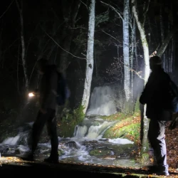 Au 1er plan, des marcheurs sur un passage au-dessus d'un ruisseau, à l'arrière plan une cascade au milieu des bois éclairée par des lampes de marcheurs.