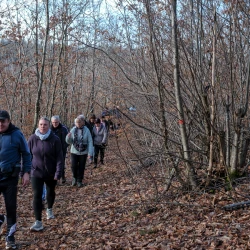 Marcheurs en file indienne dans les bois