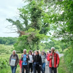 Un groupe de marcheurs sur une petite route entourée de haies et d'arbres, on voit des prés et de la forêt en arrière plan