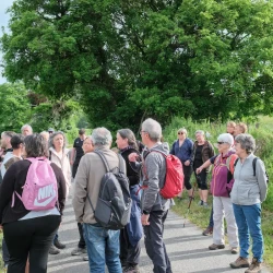 Un groupe de marcheurs à l'arrêt sur une petite route entourée de haies et d'arbres, on voit des prés et de la forêt en arrière plan