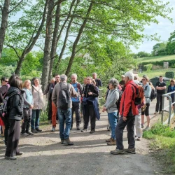 Un groupe de marcheurs à l'arrêt sur un petit pont, on voit quelques arbres, distingue une maison, un jardin, une voiture en arrière plan