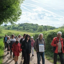Un groupe de marcheurs sur un chemin entouré de haies hautes, sous un ciel partiellement nuageux