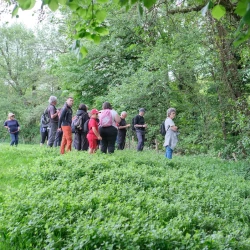 Un groupe de personnes dans un pré très vert, sous des arbres