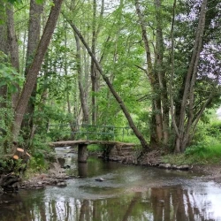 Vue sur un ruisseau entouré d'arbres, un peu plus loin un petit pont en 3 éléments de pierre et rambarde en métal qui passe par-dessus.