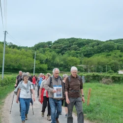 Un groupe de marcheurs sur un chemin entourée de haies, on voit des prés et de la forêt en arrière plan
