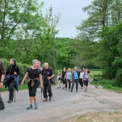 Un groupe de marcheurs sur un chemin entourée de haies et d'arbres, on voit des prés et de la forêt en arrière plan