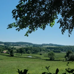 Paysage de bocage ensoleillé : on distingue des maisons disséminées, un château sur l'horizon, des bois. Au premier plan en haut à droite, une branche.
