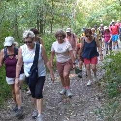Des marcheuses en action sur un chemin ombragé dans la forêt