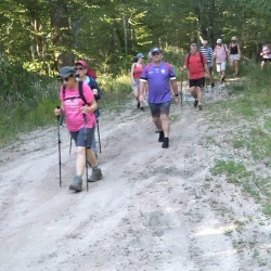 Des marcheurs en action sur un chemin ombragé dans la forêt