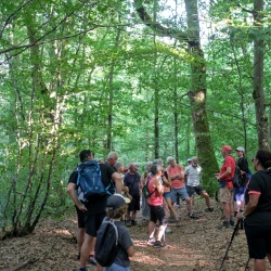 Un groupe de marcheurs en pause dans les sous-bois.