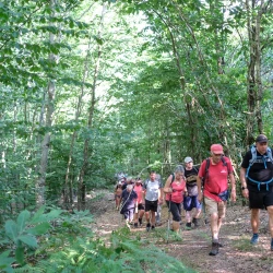 Des marcheurs sur un chemin qui monte