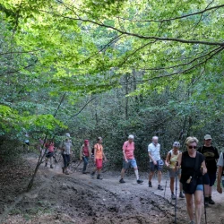 Des marcheurs sur un chemin avec des traces de passages motorisés dans la forêt