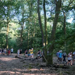 Une colonne de randonneureuses prise latéralement en plan large, dans la forêt de feuillus. On voit les rayons du soleil sur les arbres et le ciel bleu.