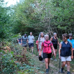 Des marcheureuses sur un chemin boisé arrivant à un embranchement. On voit des panneaux d'indications de couleur jaune à gauche.