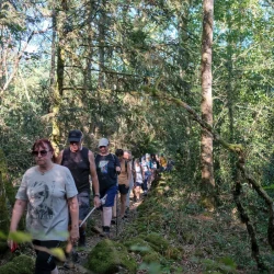 Des randonneureuses sur un chemin bordé de pierres moussues, les arbres ont les troncs également recouverts de mousse.
