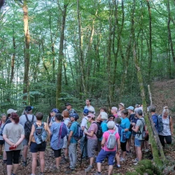 Un groupe de personnes en pause dans une forêt de feuillus. Devant eux à droite, des pierres au pied d'un arbre.