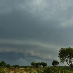 Des arbres au 1er plan, un ciel menaçant avec des nuages bas sombres