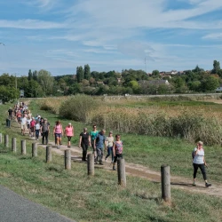 Une colonne de randonneurs sur un chemin près d'un étang, parallèle à une route dans un village. Le ciel est bleu avec quelques nuages.