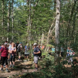 Des marcheurs en pause dans la forêt, les rayons du soleil passent à travers les feuilles.